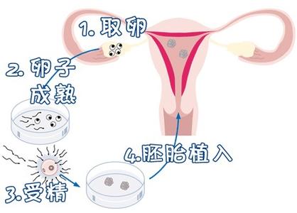 陳明瑜